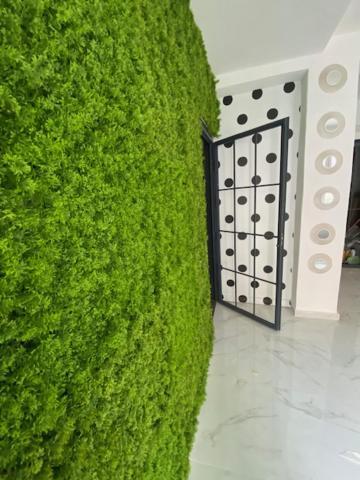 Suite 43 Terrasini Extérieur photo